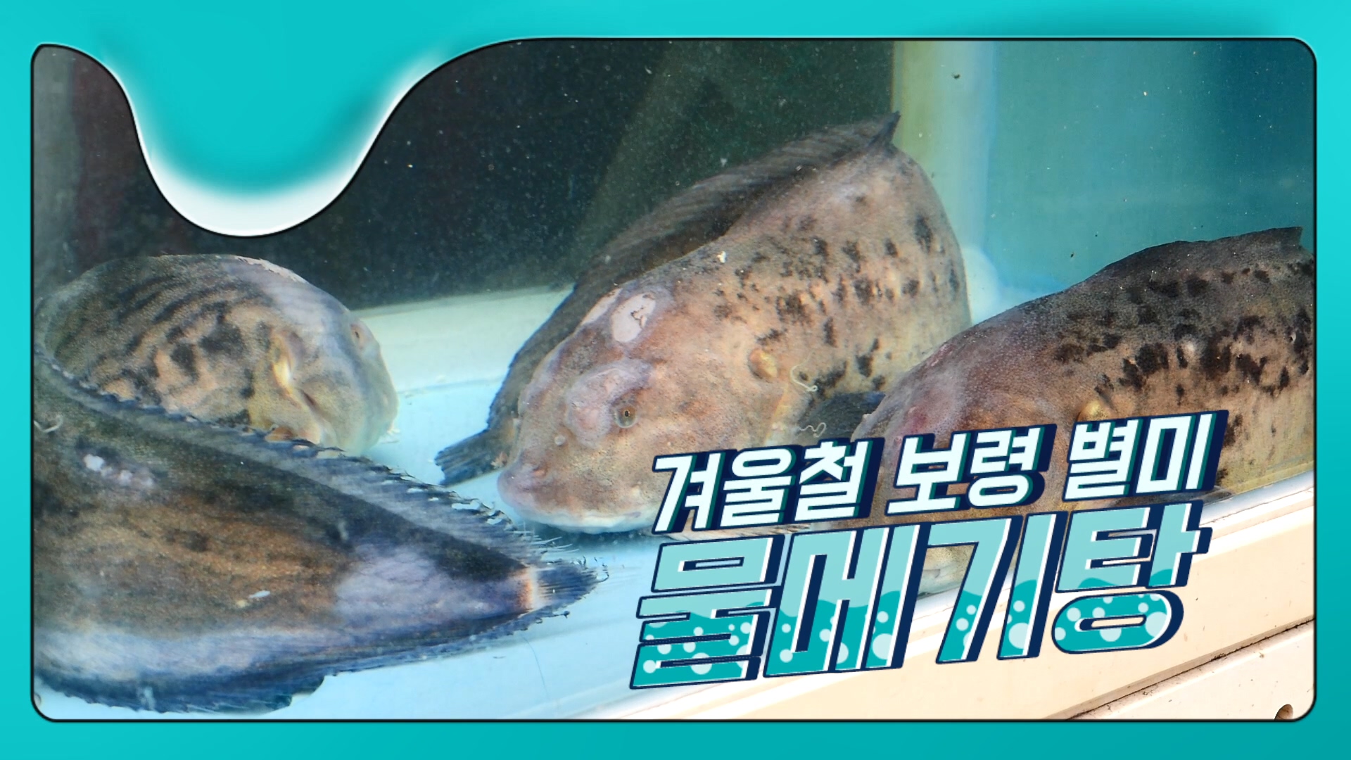 겨울철 보령 별미 '물메기탕'